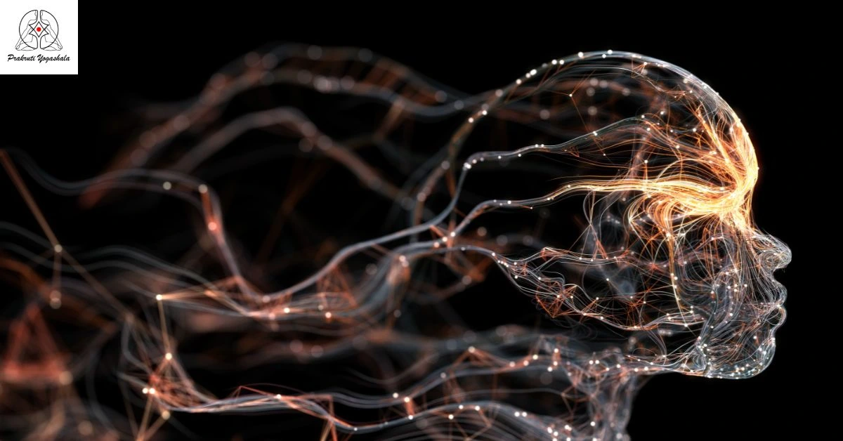 Understanding the Impact of Yoga on the Nervous System